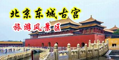 在线播放美女被操屁眼的永久网址中国北京-东城古宫旅游风景区